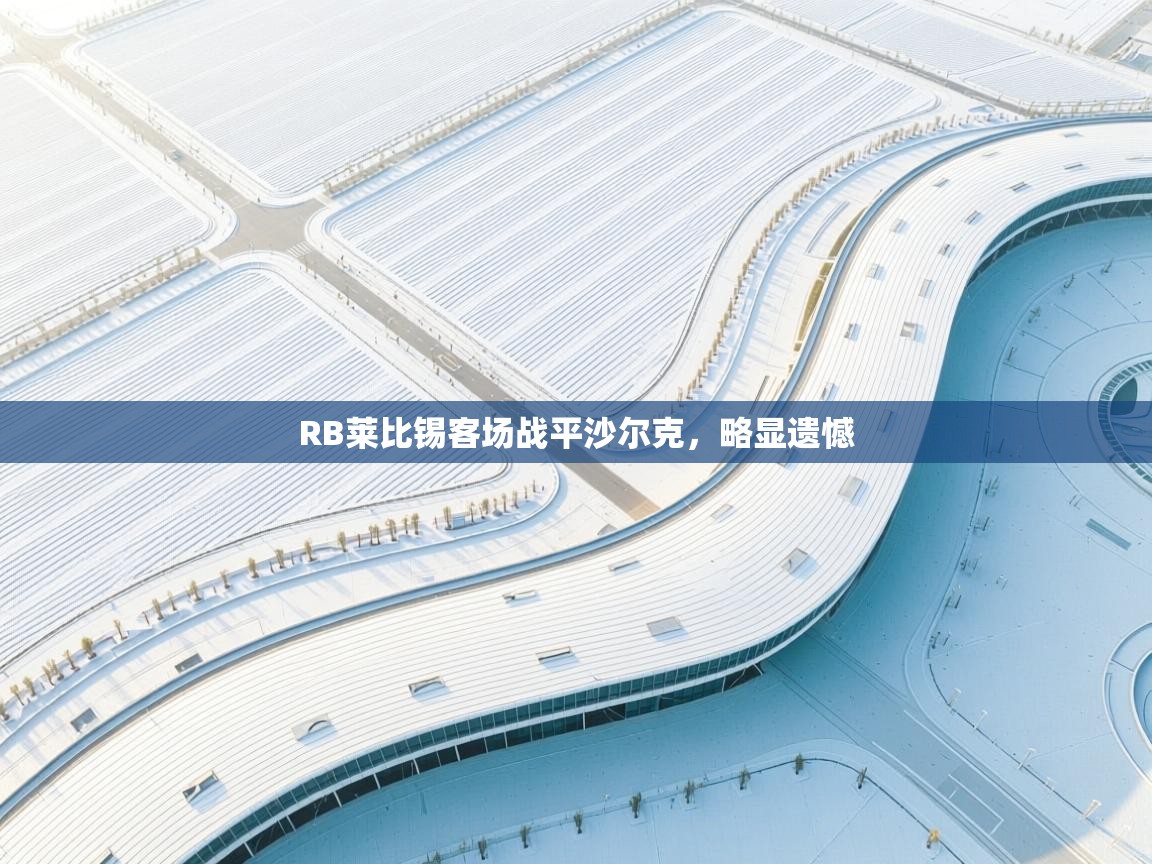 RB莱比锡客场战平沙尔克,略显遗憾 第1张